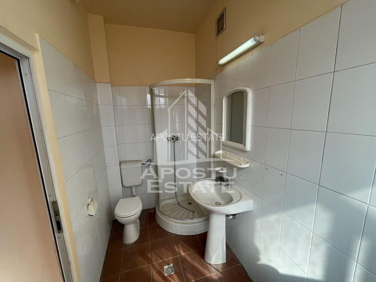 Spatiu comercial stradal. 100 mp, Zona Elisabetin, Balcescu - 7