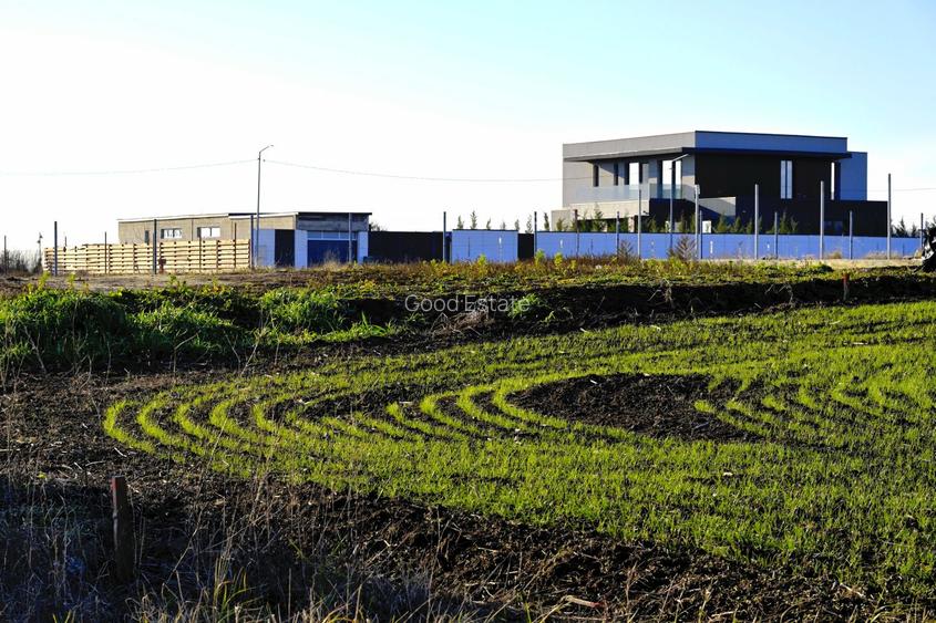 TEREN 762mp zona privata exclusivista Izvorani Delta Snagov la 100m lac - 6