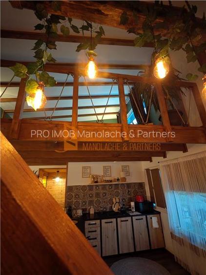 EXCLUSIVITATE! Cabana cu o priveliste unica in Niscov - 20