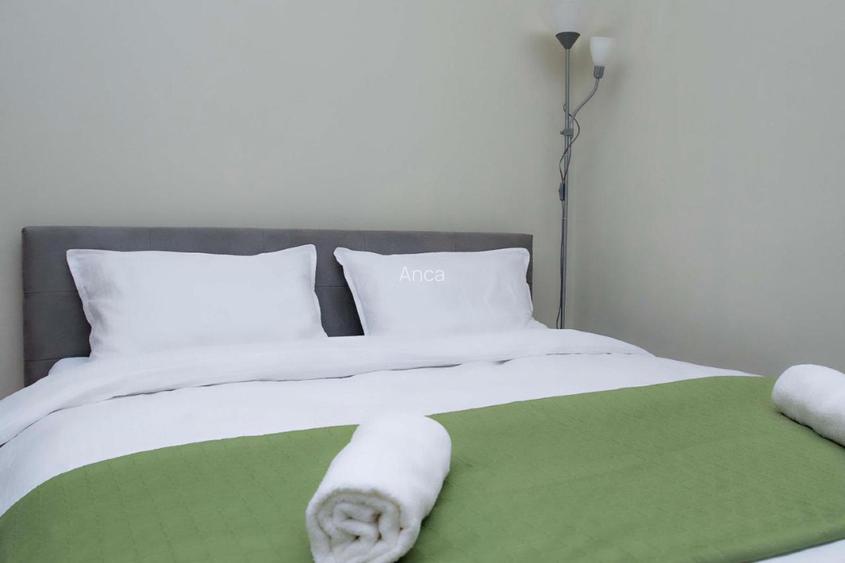 Ultracentral - Apartament 1 camera, Palatul Victoria, Piata Operei - 9