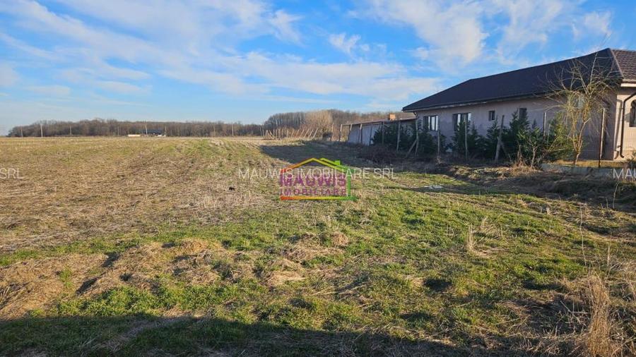 Vand teren in  Magurele - strada Stejarului - loturi 500 mp - 4