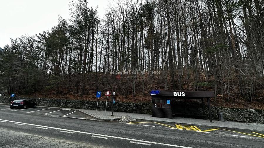 Teren in vecinatatea Castelului Peles - SINAIA - 26