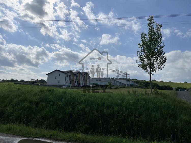 Teren HALA de vanzare iesirea din Sura Mare spre Hamba. - 4