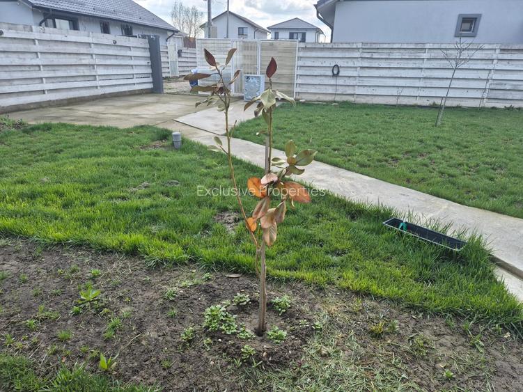 Casa Darza, curte spatioasa - 13