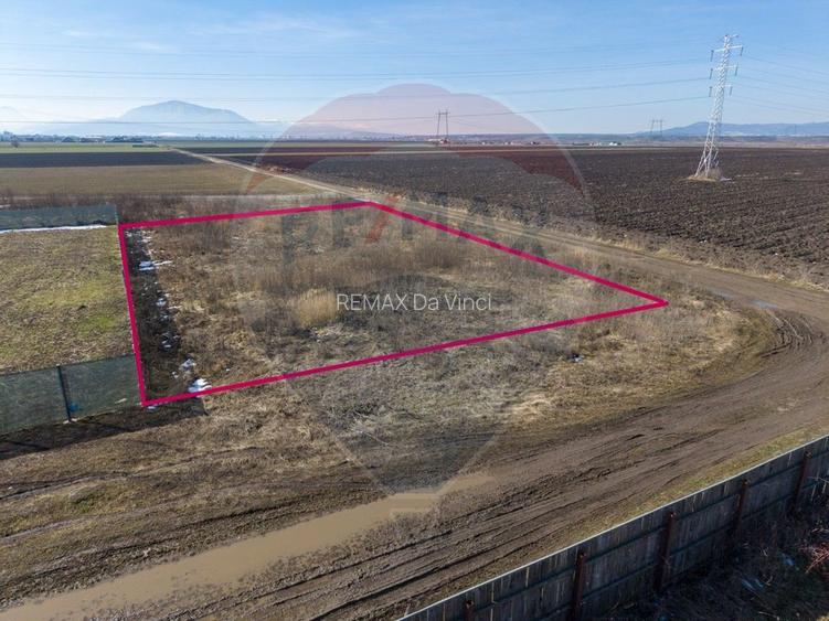 Teren intravilan de vanzare Hălchiu - 9