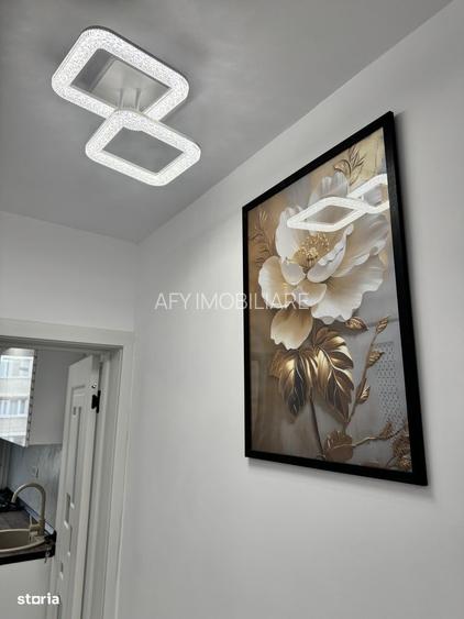 De Vanzare Apartament de Lux, 2 camere, Drumul Taberei - 11