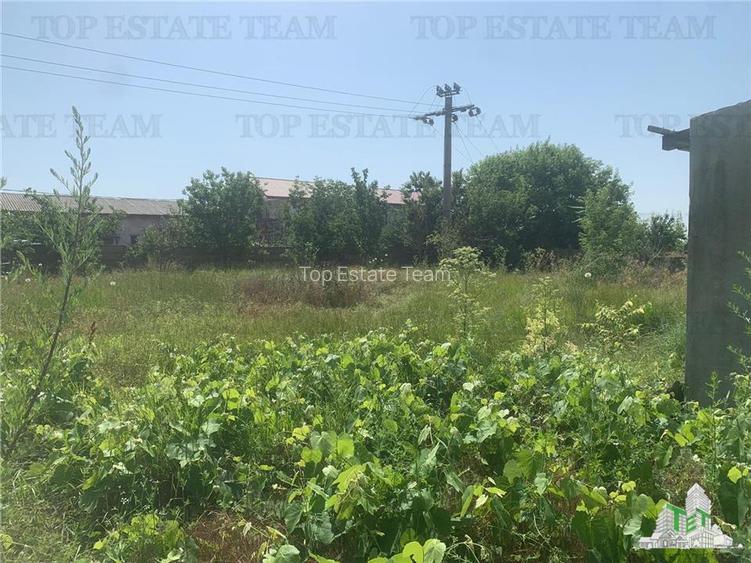 HALA INDUSTRIALA NAVODARI - 3