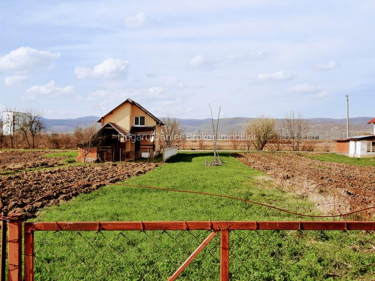 Ilia, proprietate deosebita - 16