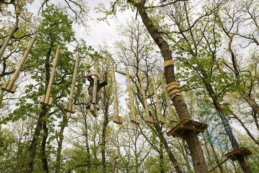 Domeniul Herneacova - 12