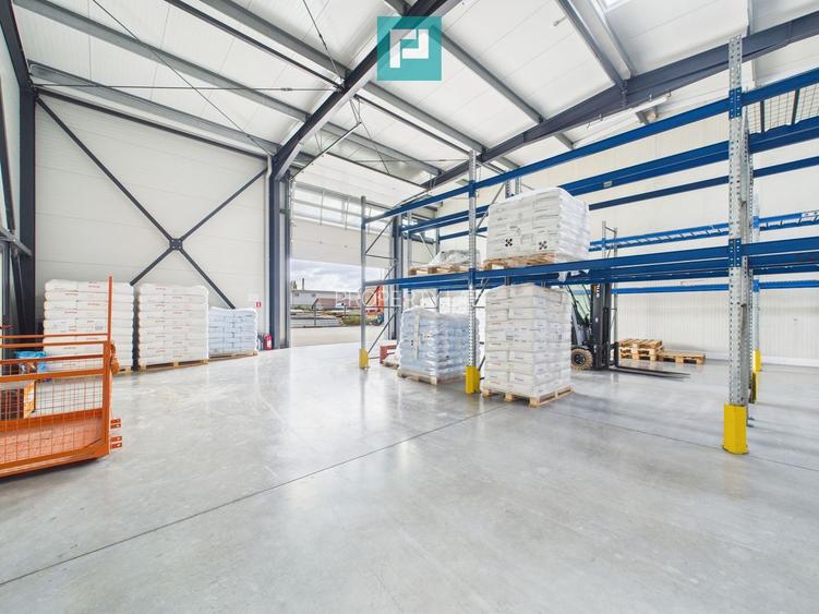 Hală industrială – Giarmata. - 5