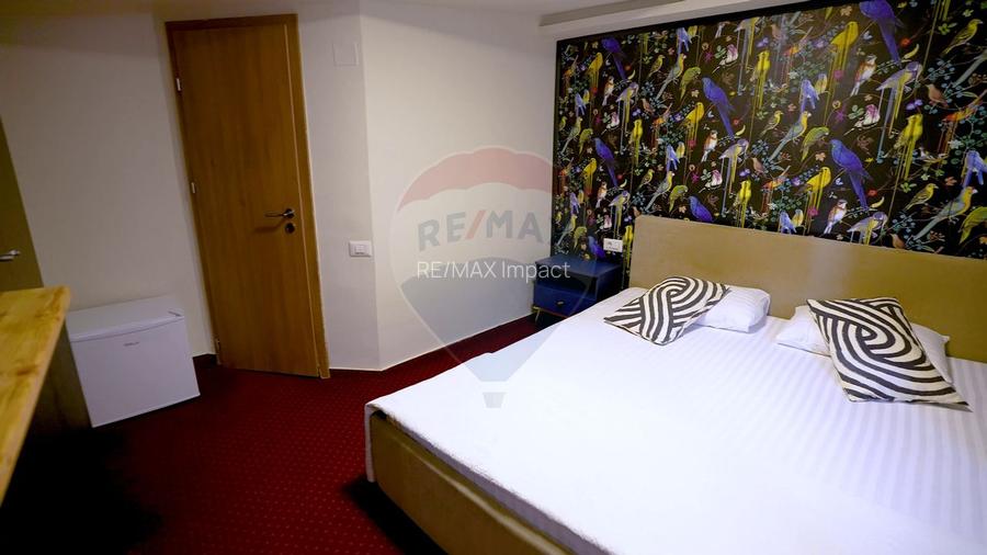 Hotel 12 camere si Cantina / Restaurant Calea Calarasilor Bucuresti - 21