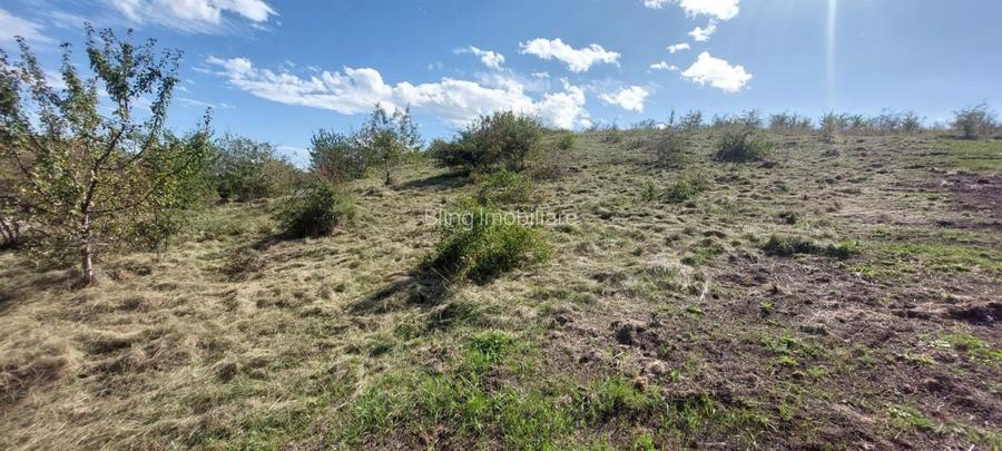 Teren intravilan 1214mp in Chinteni - zona centrala, strada Ion Creanga! - 3