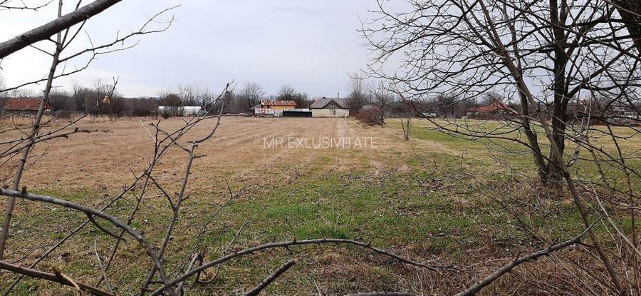 TEREN INTRAVILAN POLOVRAGI - STRADA IZVOARELE - 2