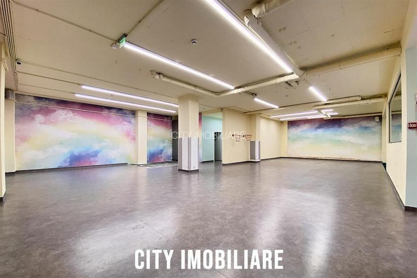 Spatiu comercial 250 mp + terasa 70 mp, Grigorescu, Parter, Ideal HoReCa   Showr - 11