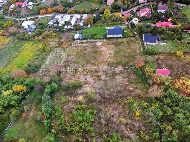 De vanzare teren intravilan 8,000 mp Garlenii de Sus / Bacau - 6
