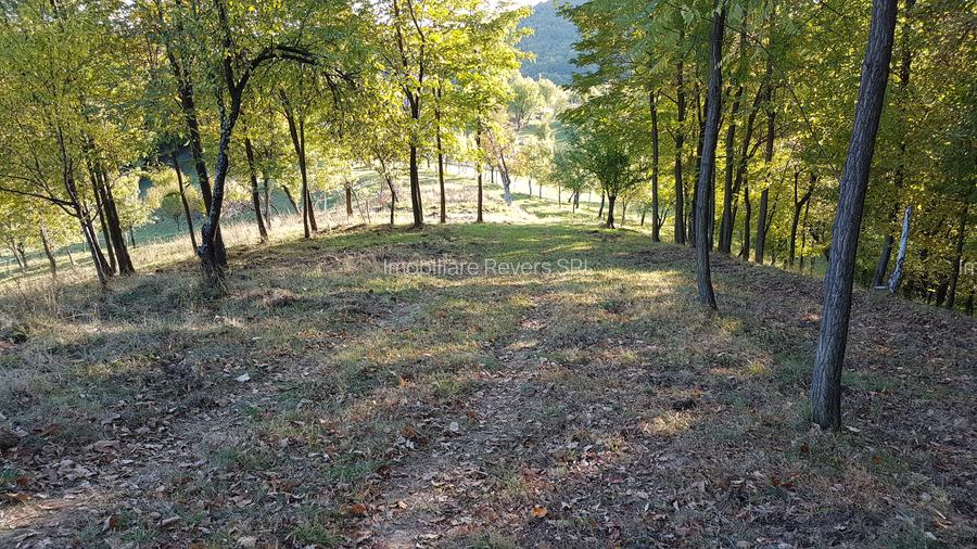 Teren livadă cu panoramă superbă Dealul Malului pentru casă sau cabană - 21