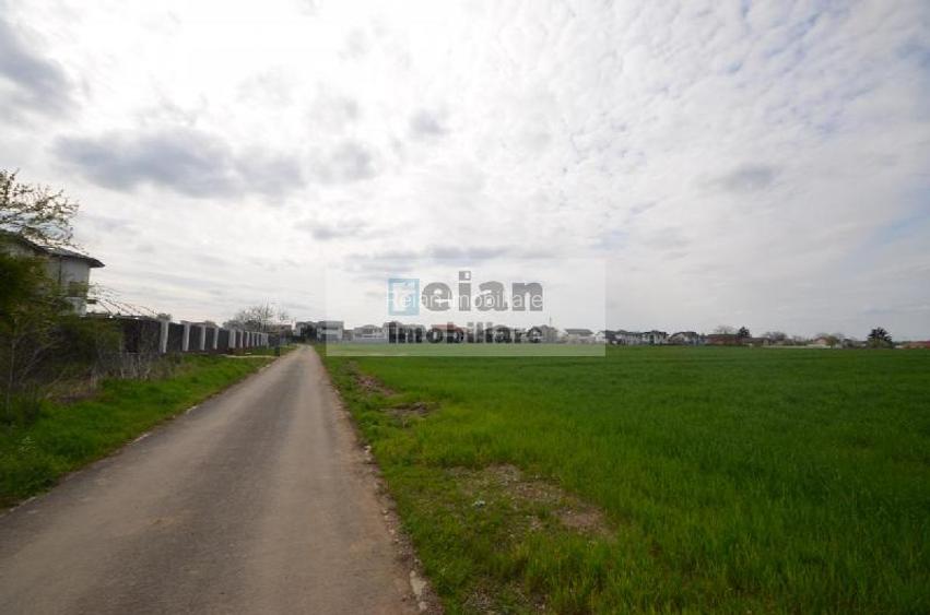 Snagov Crizantemelor Teren 3200mp, d 72ml, gaz, curent, asfalt, padure - 6