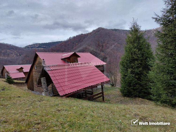 Oportunitate unica! 5ha + 2 cabane de vacanta in Valea Ierii - 3