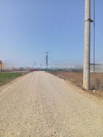 Teren de vanzare in Biharia, cu o suprafata de 20000 mp intravilan - 2