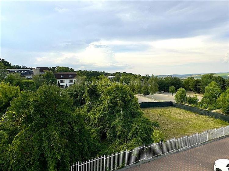 Vila eleganta de inchiriat in Copou - 20