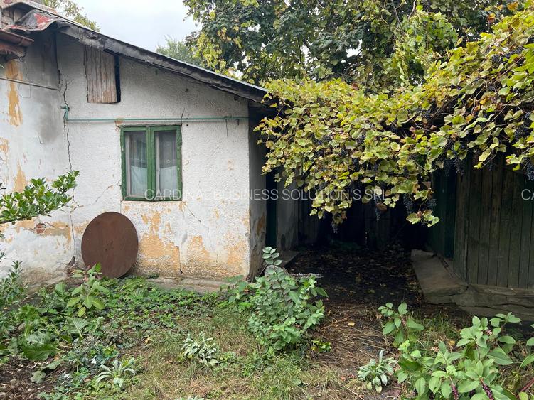 Bucurestii- Noi - zona Bazilescu, str. Pietei - 2