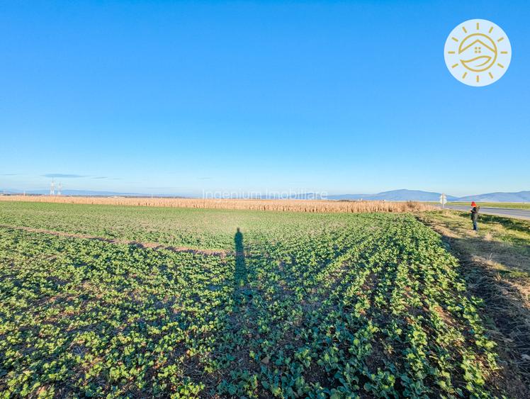 Teren intravilan 22800mp la 2km de Parcul Industrial Prejmer - 4