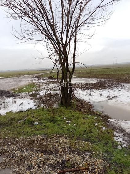 Orașul Popești-Leordeni,teren, zona industriala cu utilitati! - 7