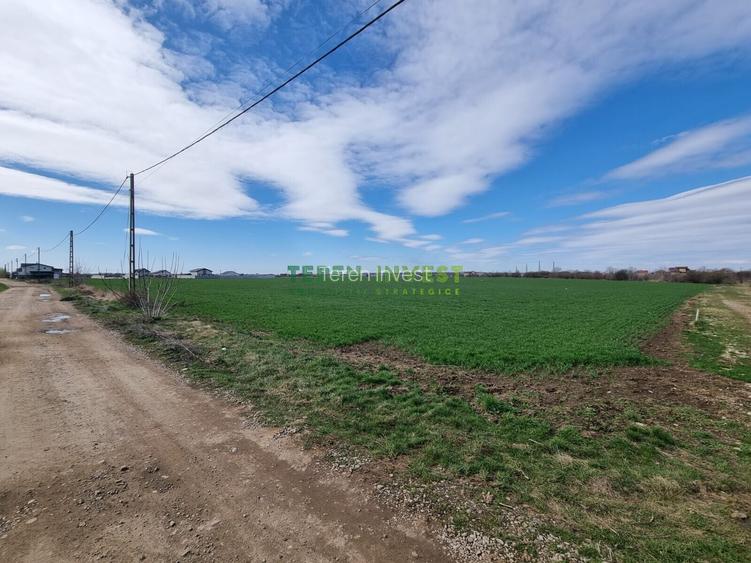 VÂNZARE TEREN 22.000 MP PUZ APROBAT - BALOTEȘTI - 10