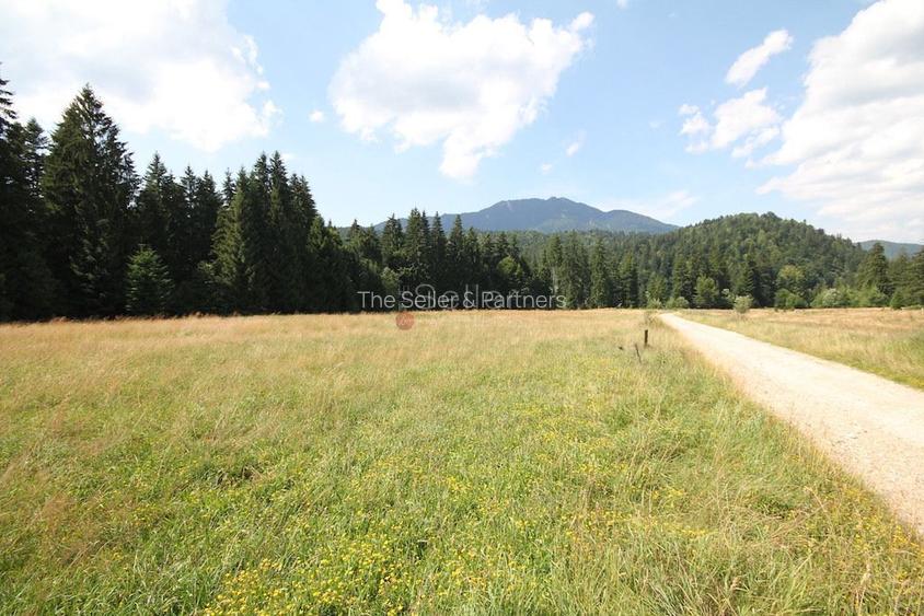 Poiana lui Manole - teren Intravilan - 15