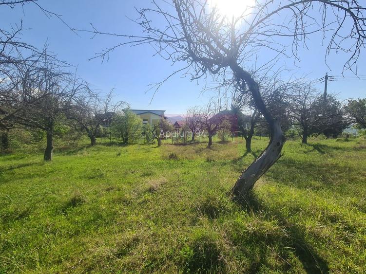 Teren de vanzare in Campina in zona retrasa - 5
