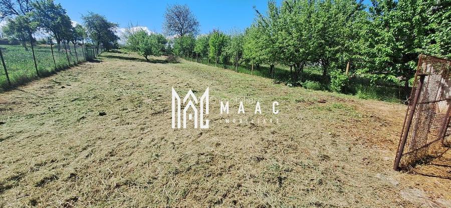 Casa 4 Camere | 1300 mp Teren | Miercurea Sibiului - 4