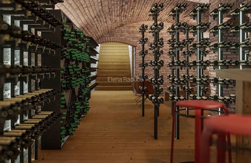 Proprietate deosebita. Potential atractie turistica - Conac Ilovat, MH  - 7