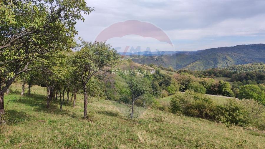 Teren constructii si faneata/livada 3082 mp Damis Bratca drum DJ 764D - 10