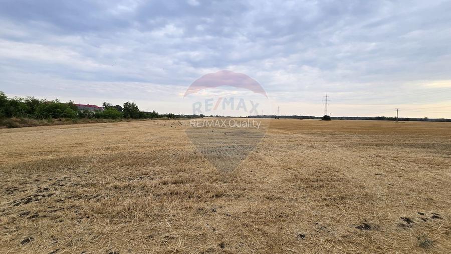 Teren intravilan Buftea, soseaua Tamasi - 6