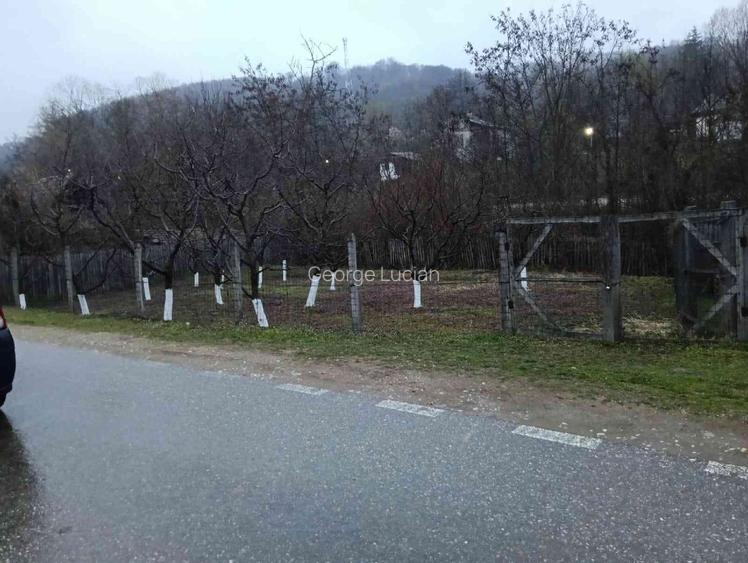 Casă de vânzare -locul unde "acasă"prinde contur  - 13