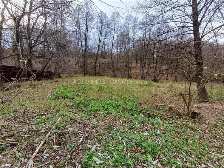 Resita, Teren Drept Intravilan, Langa Prau si Drum, 1308 Mp., 15 Euro Mp., Renk - 14