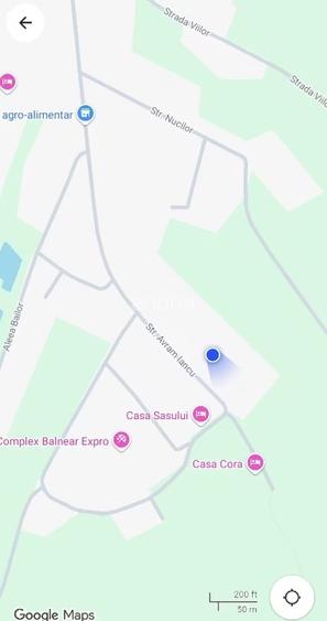 Vand 0.75 ha in Bazna cu 3 case, livada, gradina, pentru pensiune, camping... - 8