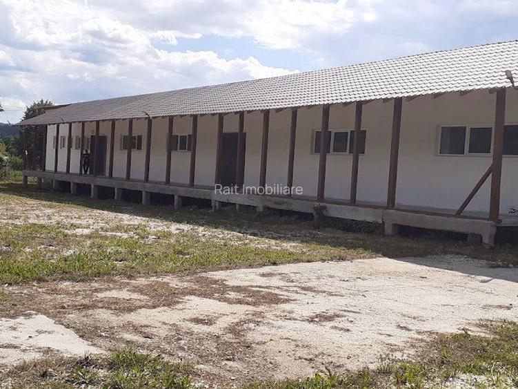 Hala de Inchiriat Godeni Arges - 2