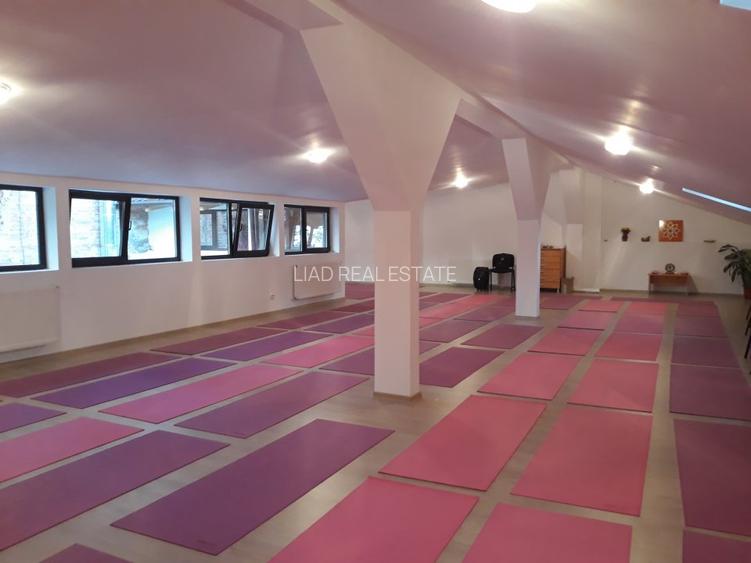 Vila istorica renovata Universitate - Pta Rosseti - 3