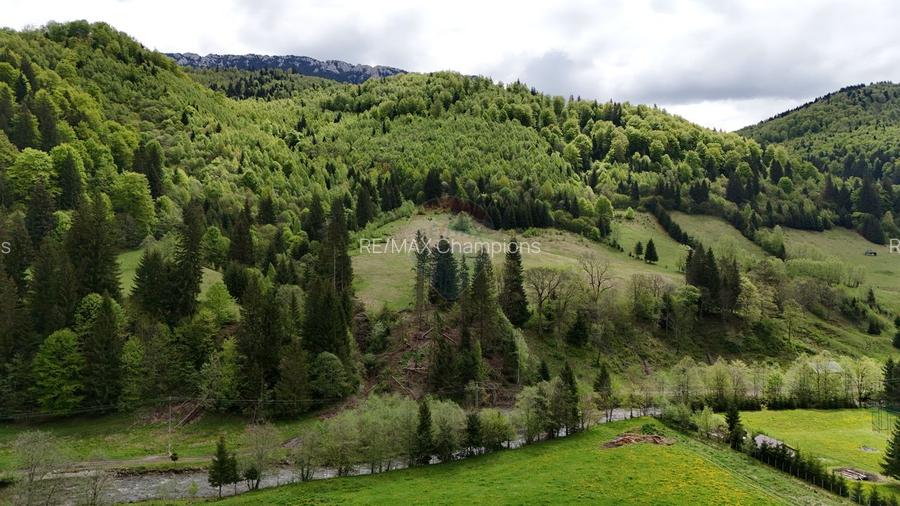 Extravilan + Intravilan | Sătic-Rucăr | Cadru natural | Turistic - 7