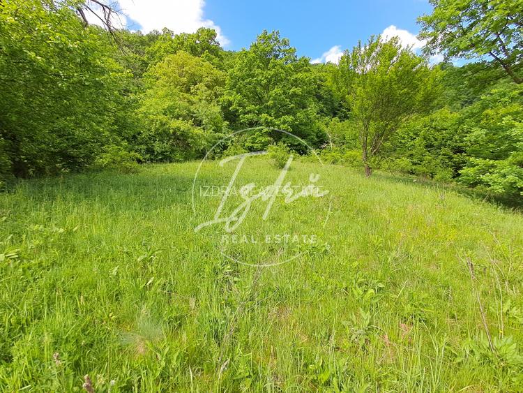Parcelele cu cele mai bune preturi din judet - 10
