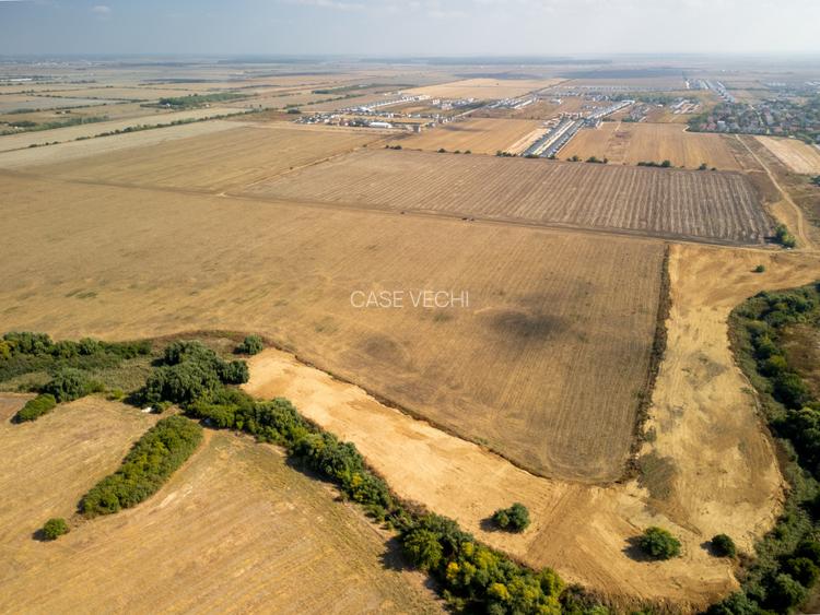 Teren dezvoltare in Tunari - 20