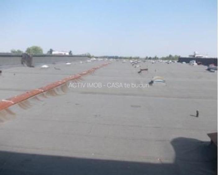 Complex industrial 30130  mp construit - Teren 42558 mp - 17
