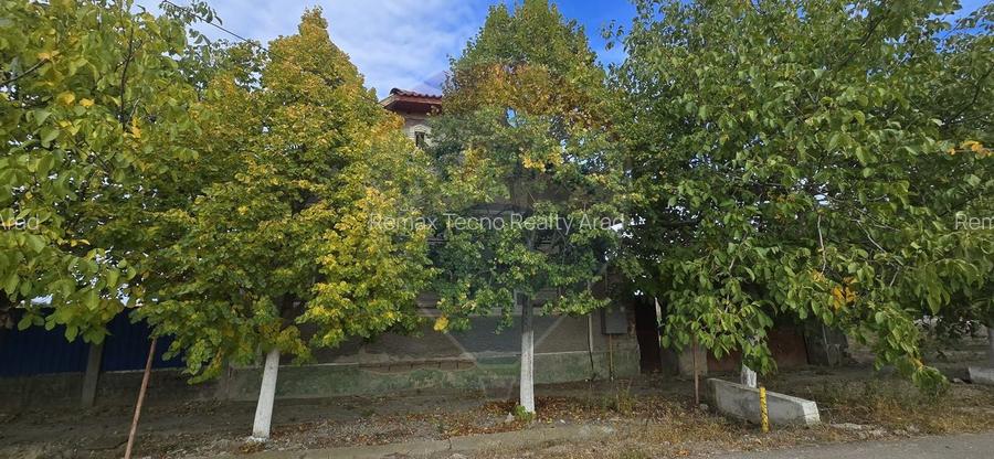 Teren si casă cu teren generos în Socodor - 4