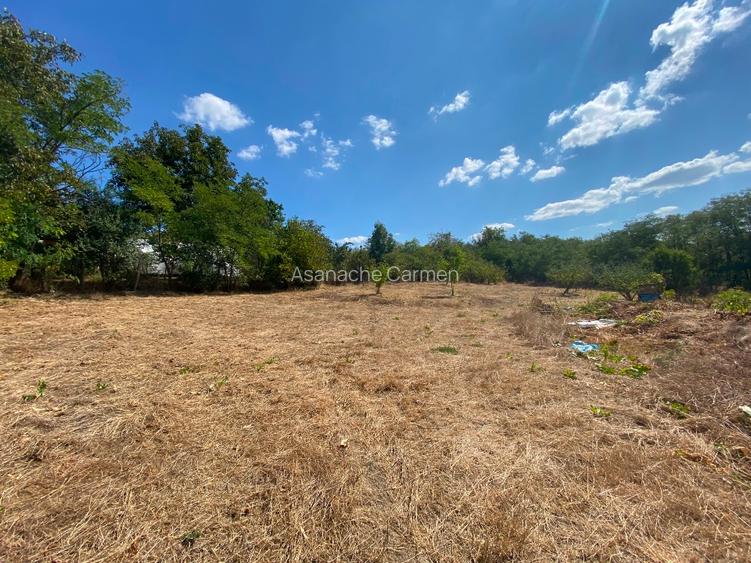 Vând teren intravilan comuna Parincea Jud Bacau - 3