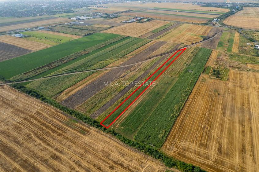 Teren 4.271 mp de vanzare  în Vladimirescu - 4
