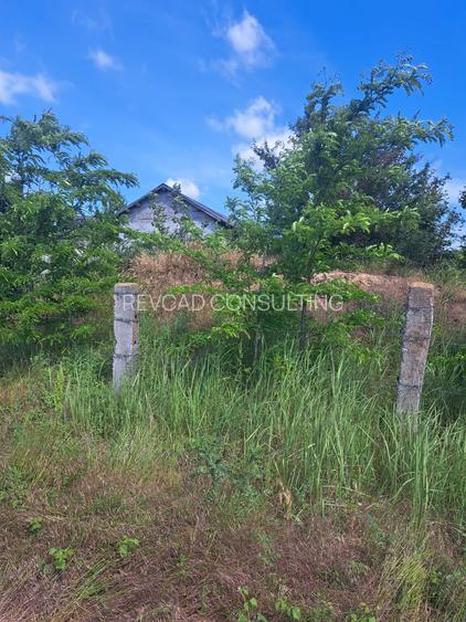 Teren in prelungirea strazii Egretei in rate. - 8