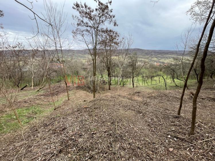 Mihaesti - Sat Draghici, teren intravilan, 7.280 mp