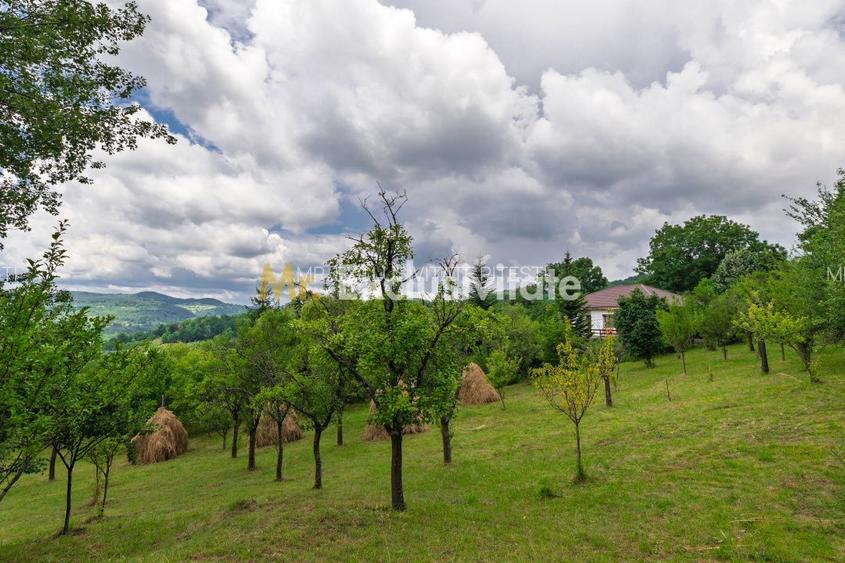 Casa moderna si casa bunicii + 6300 mp teren,Oaza autentica in Corbi Arges- - 17
