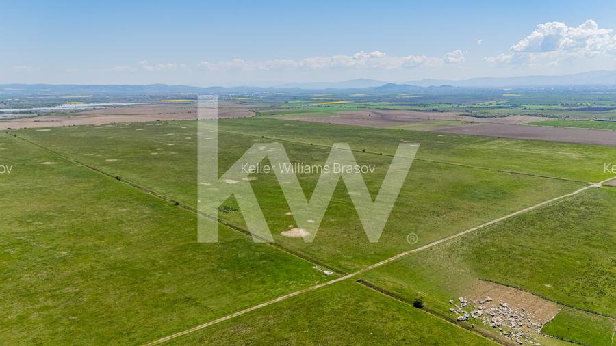 Teren extravilan 4.700 mp Codlea –Zona Lacurilor - ideal pentru investiție - 5
